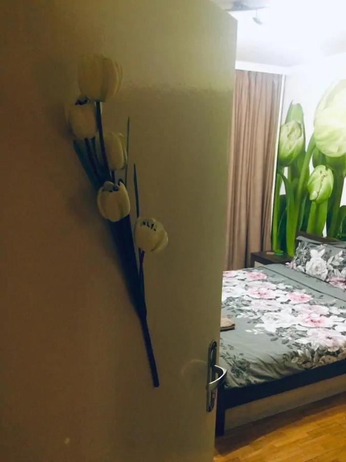 2 Bedrooms With Private Bath And Balcony Near The Airport Sofya Dış mekan fotoğraf